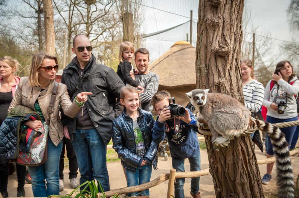 Copyright foto's: Zoo Antwerpen en Planckendael