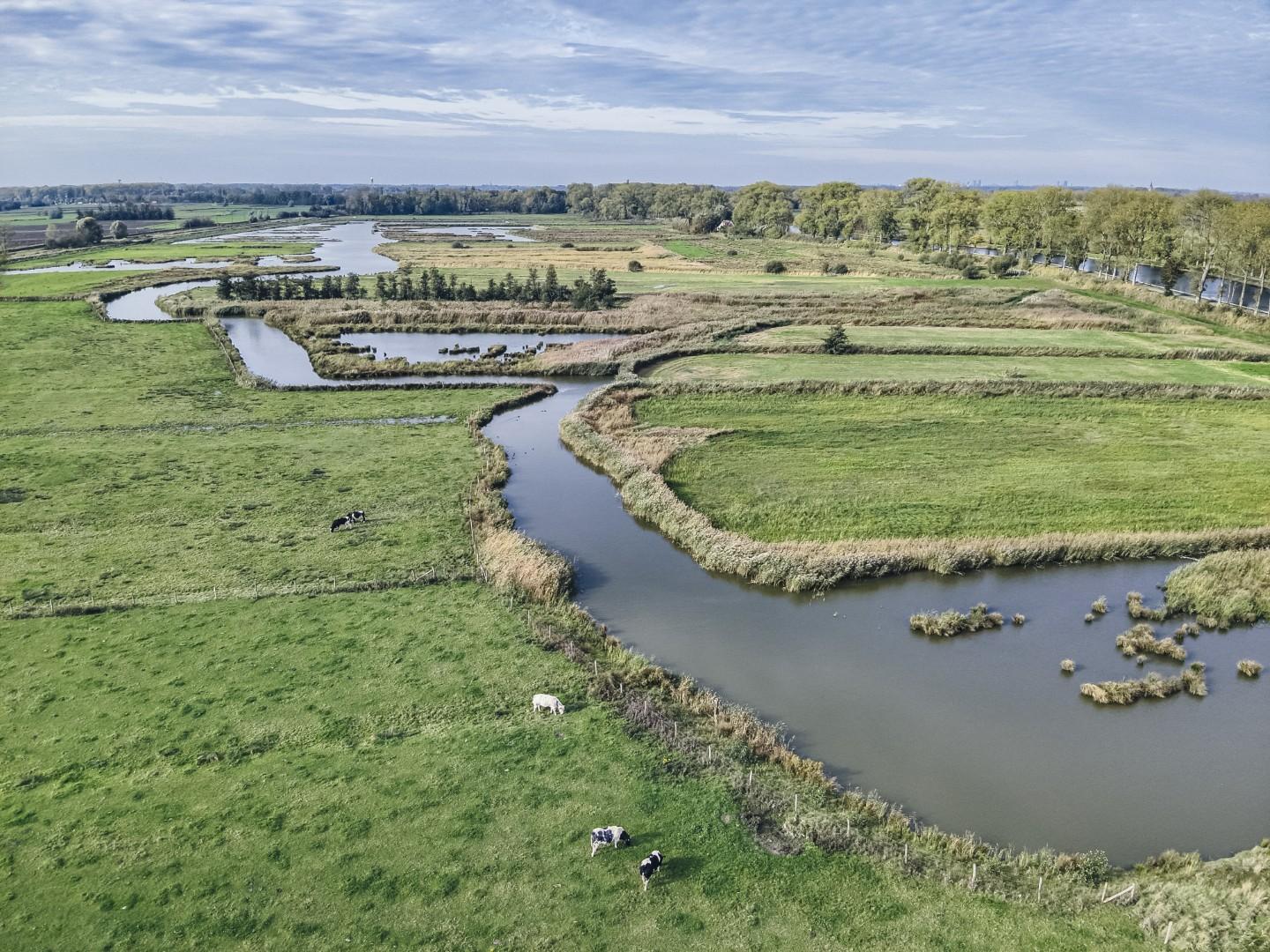 60 hectare nieuwe natuur floreert in Kwetshage