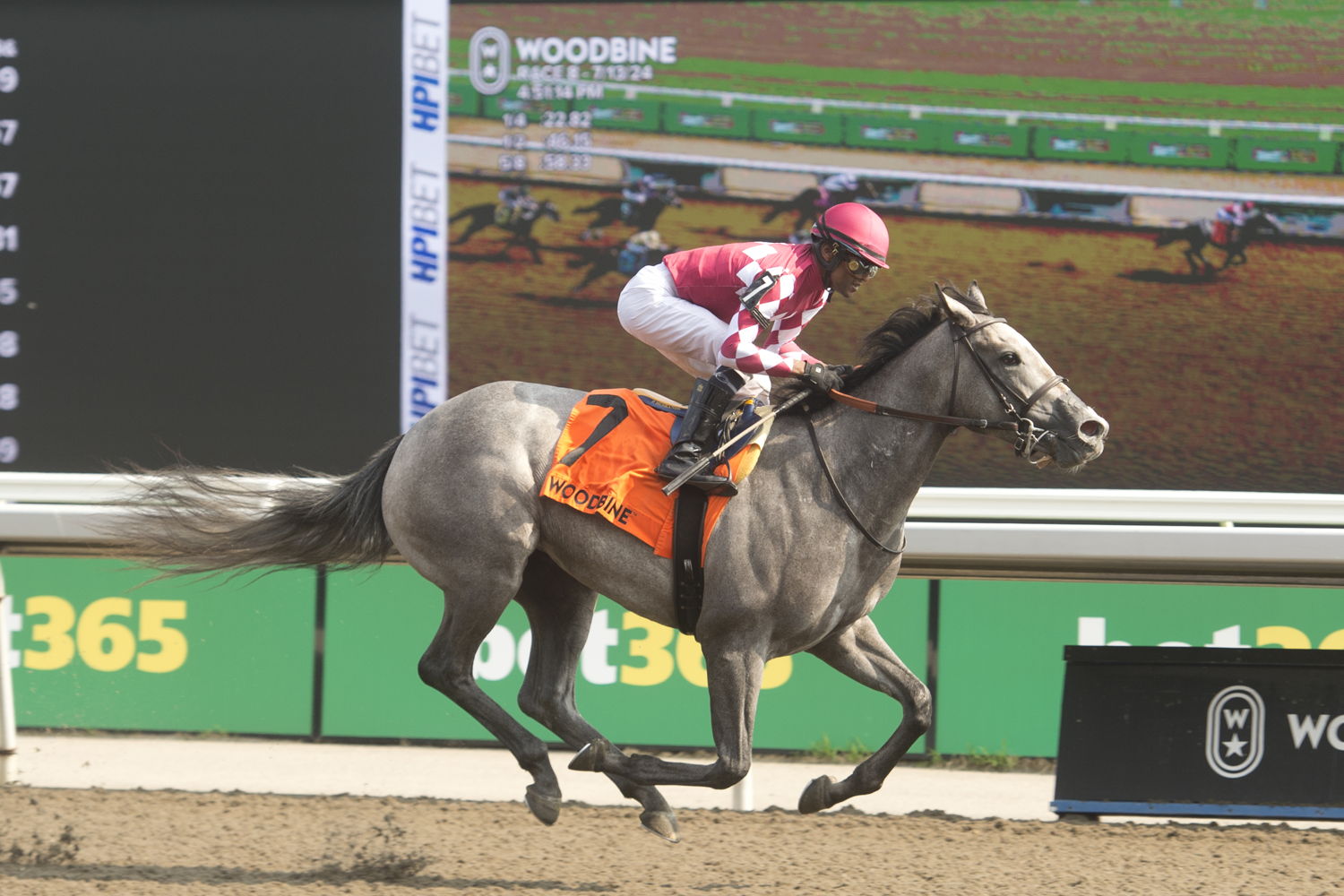 Bullet and jockey Patrick Husbands winning the My Dear Stakes on July 13, 2024 at Woodbine (Michael Burns Photo)