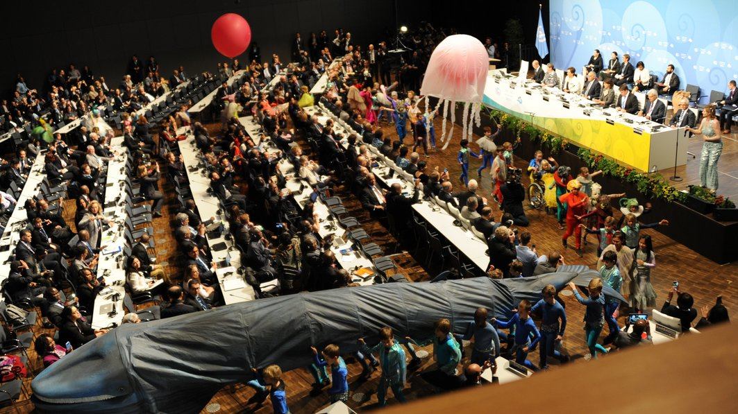 Children's parade at the Opening Ceremony of COP 23.