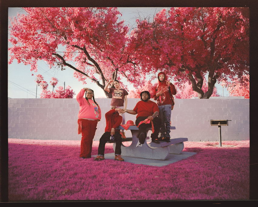 SWPA 2026 -​ ​finali�ci i zdobywcy wyr�nie� ​w konkursie profesjonalnym