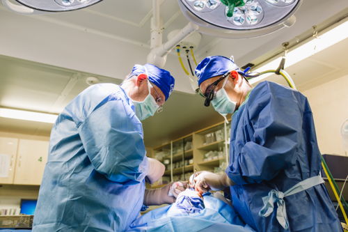 Les docteurs Phil Freeman (gauche) et David Chong effectuent l’opération de la fente labiale d’Aissata à bord de l’Africa Mercy.