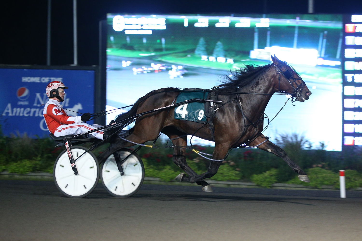 Beach Glass winning in October 2021 at Woodbine Mohawk Park. (New Image Media)