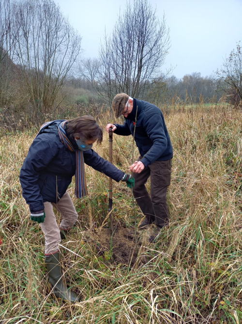 Gedeputeerde Riet Gillis en conservator van het natuurgebied in Sinaai, Jo Vervaet, planten een es. 