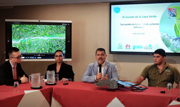 Prometedores hallazgos para la conservación de la Lapa verde en Costa Rica 