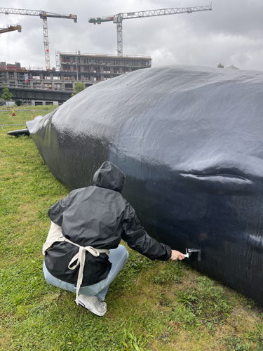 (C)IOBZ EVH Wij Zjn De Walvis Kortrijk 9 (C)IOBZ EVH Wij Zjn De Walvis Kortrijk 9