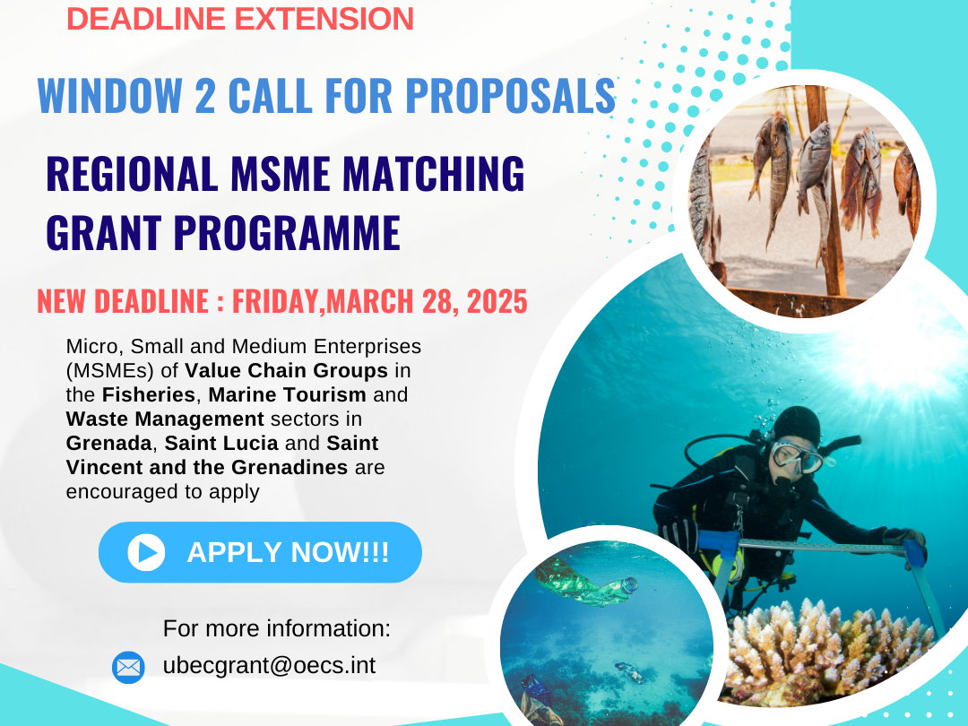 Deadline Extended for Window 2 Call for Proposals – Regional MSME Matching Grants Programme