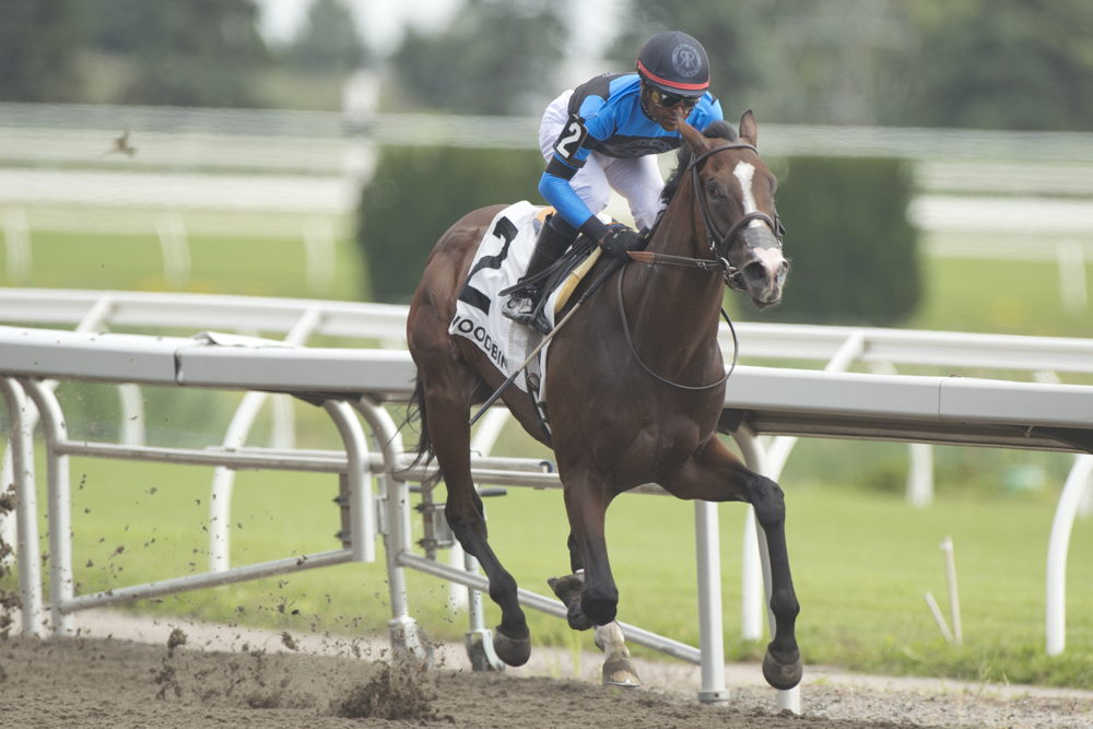 Mensa and jockey Patrick Husbands winning the Victoria Stakes on July 19, 2024 at Woodbine (Michael Burns Photo)