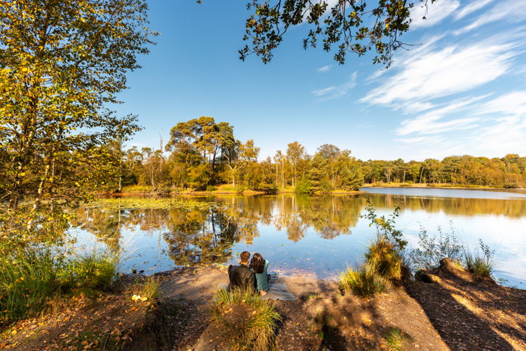 Oisterwijkse Bossen en Vennen © VisitBrabant