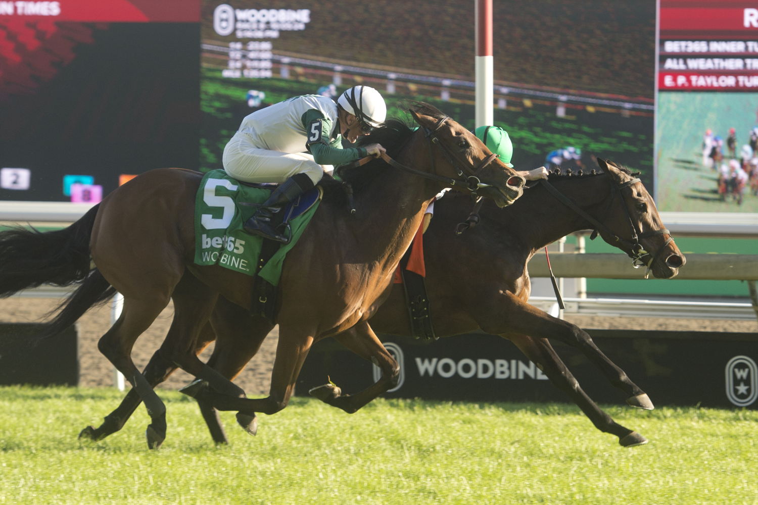 Mouffy and jockey Vincent Cheminaud winning the bet365 Dance Smartly Stakes (G2) on October 5, 2024 at Woodbine (Michael Burns Photo)