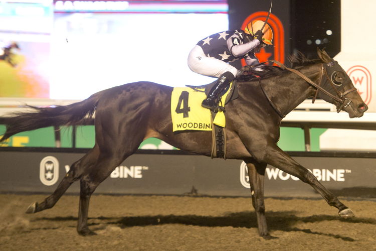 Notorious Gangster and jockey Fraser Aebly winning the Coronation Futurity on November 30, 2024 at Woodbine (Michael Burns Photo)