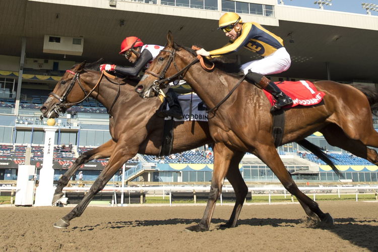 Souper Hoity Toity and jockey Patrick Husbands winning the 2022 Ontario Damsel Stakes (Michael Burns Photo)