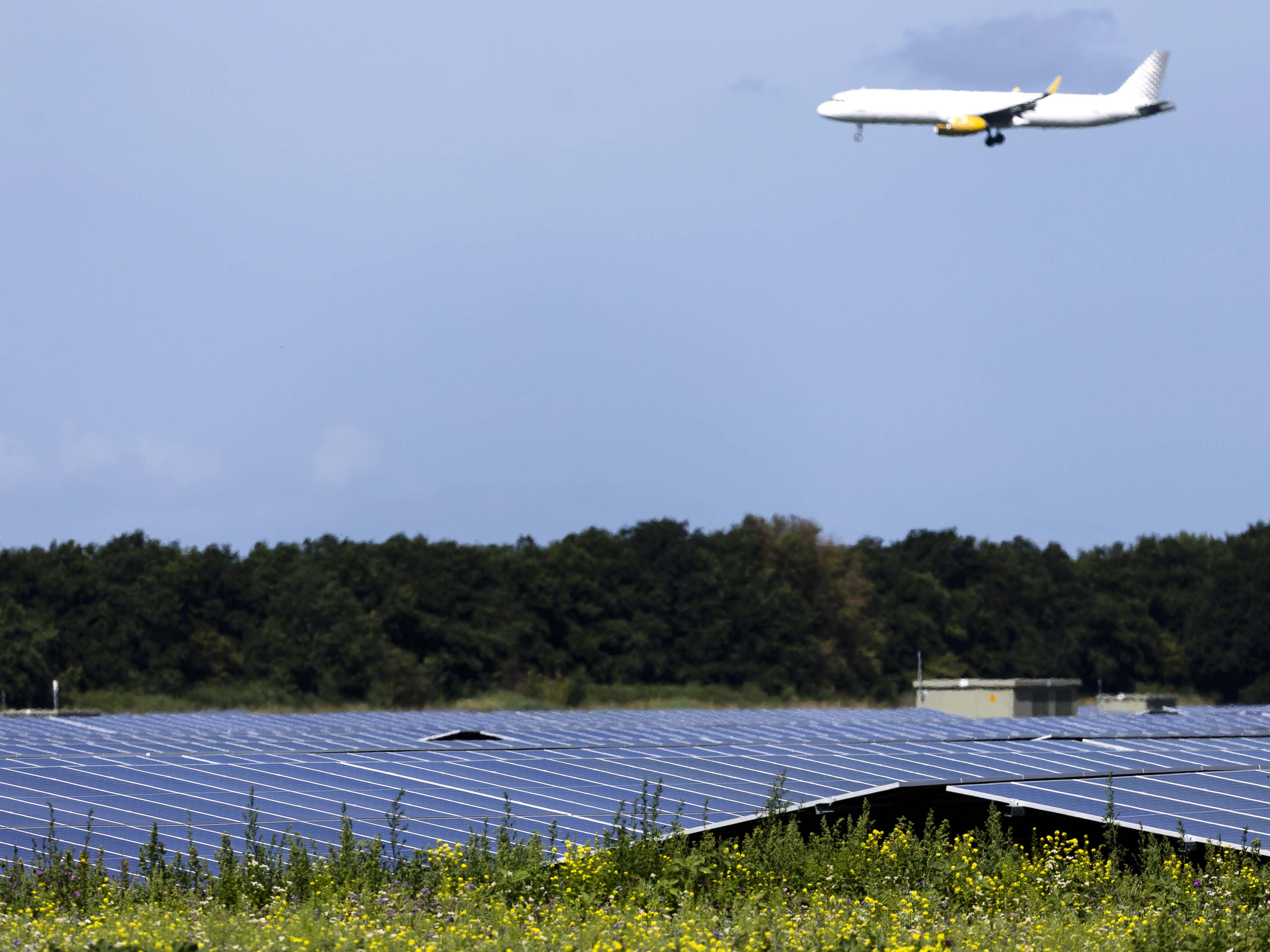 Green energy firm warns of bankruptcy over Schiphol solar farm dispute