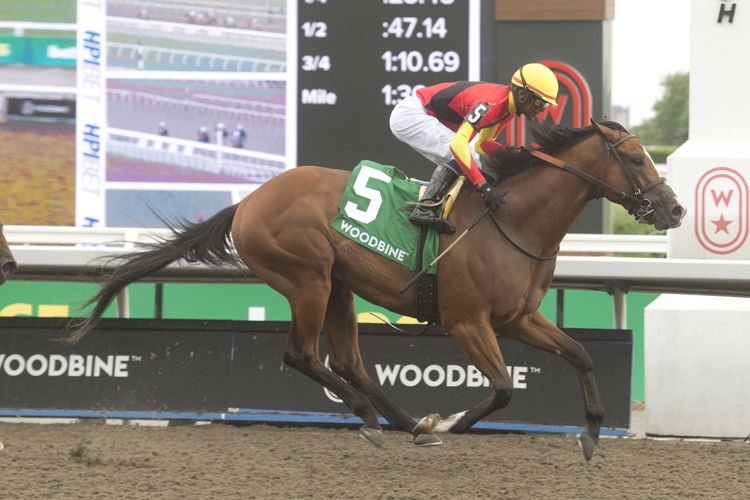 Essex Serpent and jockey Patrick Husbands winning the HPIbet Marine Stakes (G3) on June 29, 2023 (Michael Burns Photo)