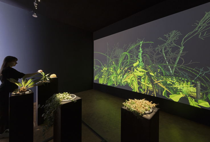 Christa Sommerer & Laurent Mignonneau, » Interactive Plant Growing«, 1993 © Christa Sommerer, Laurent Mignonneau, © ZKM | Center for Art and Media, Photo: Franz J. Wamhof