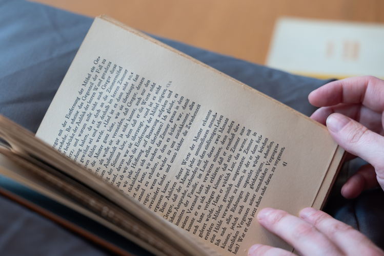 'Die Verwandlung' uit bibliotheek Van Ostaijen. Erfgoedbibliotheek Hendrik Conscience.  © Marie-Charlotte le Bailly 