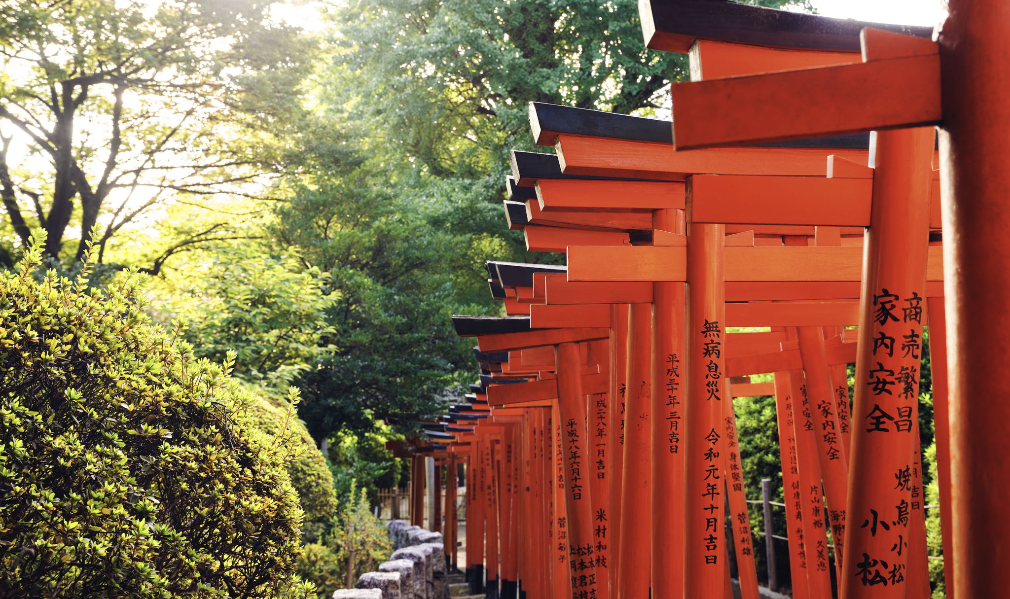 Golden Week: tres ciudades, una travesía curada por The Peninsula 