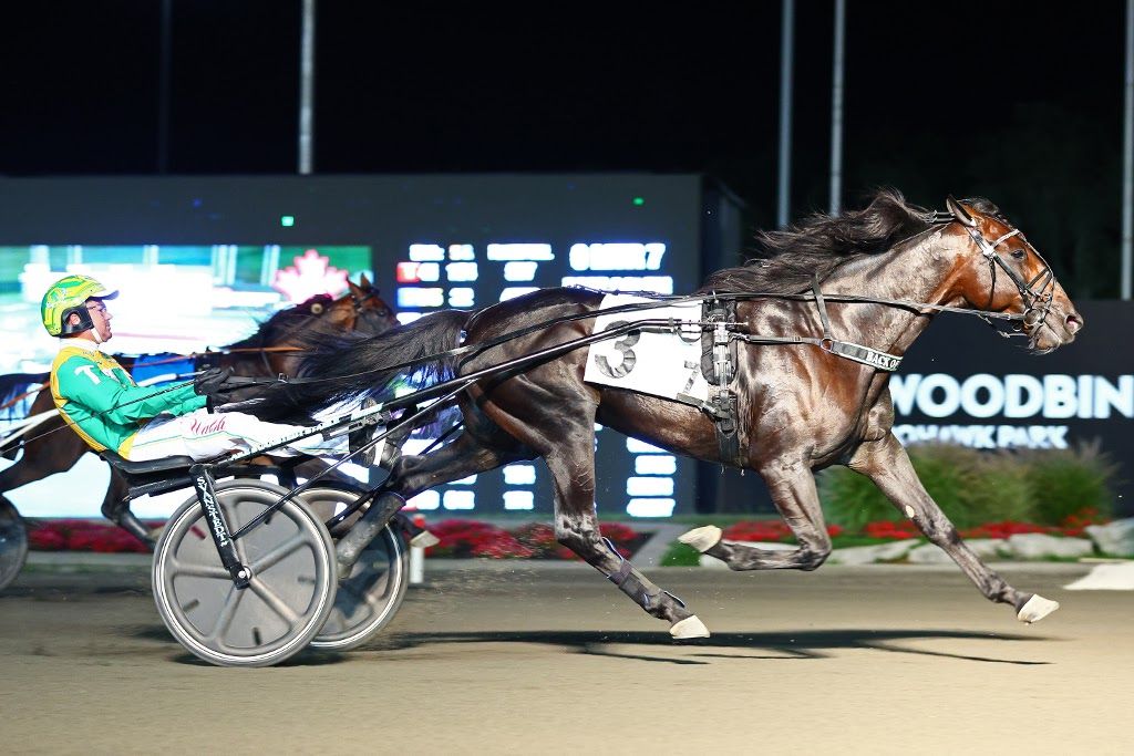 Back Of The Neck and driver Tim Tetrick winning the Maple Leaf Trot on Saturday at Woodbine Mohawk Park. (New Image Media)