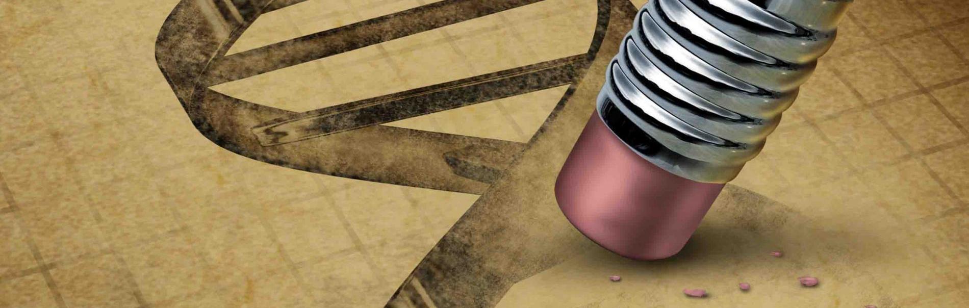 (Re)building life: The past, present, and future of synthetic biology