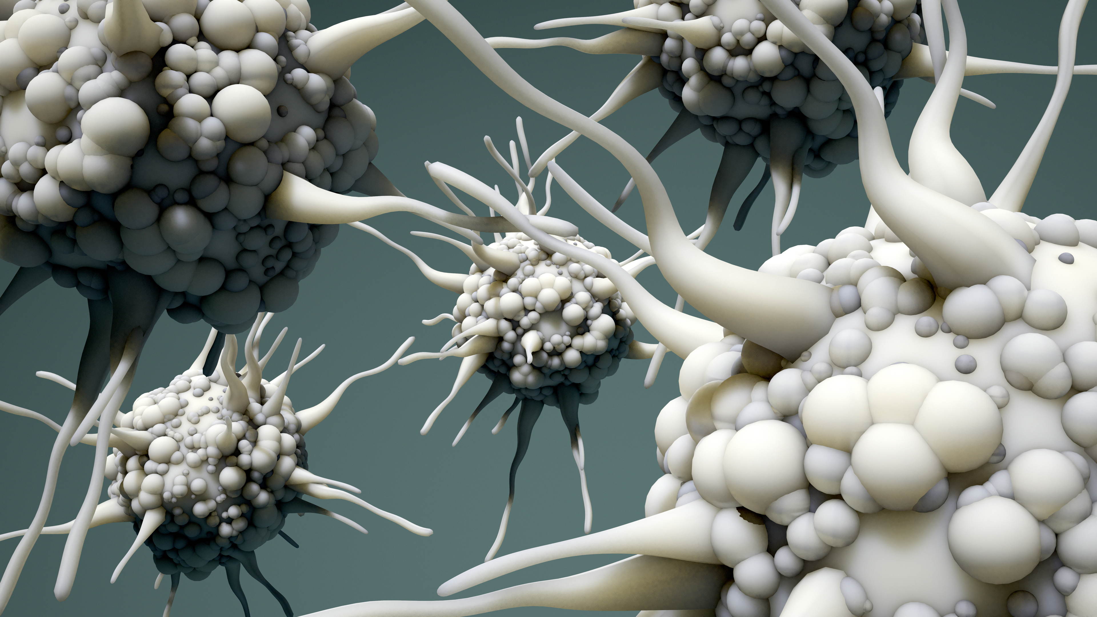 New 'atlas' for dendritic cells creates order in international nomenclature