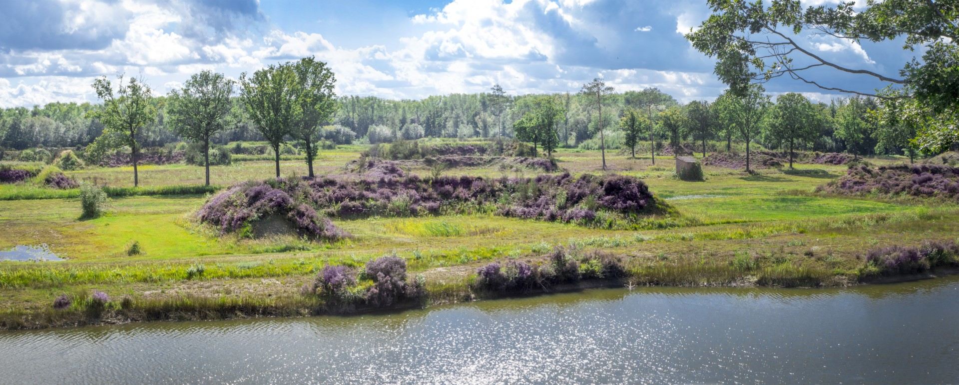 Natuurgebied Vloethemveld, bloeiende heide © Westtoer apb Natuurgebied Vloethemveld, bloeiende heide © Westtoer apb