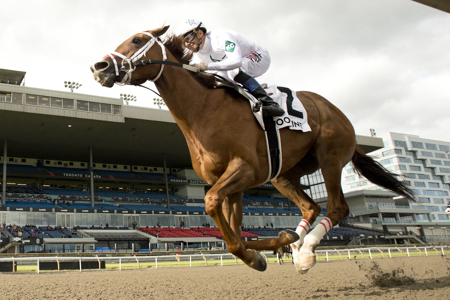 Caitlinhergrtness and jockey Rafael Hernandez winning the Belle Mahone Stakes (G3) on May 31, 2025 at Woodbine (Michael Burns Photo)