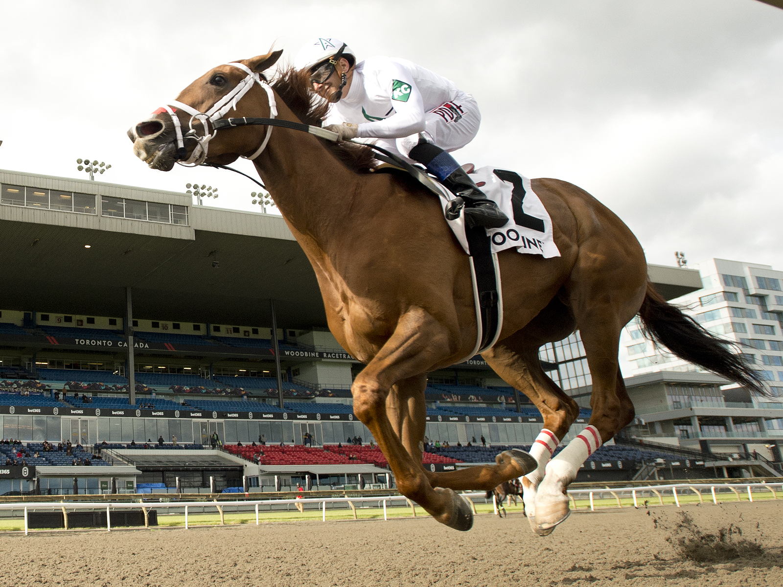 Cailtinhergrtness nets Belle Mahone (G3) win