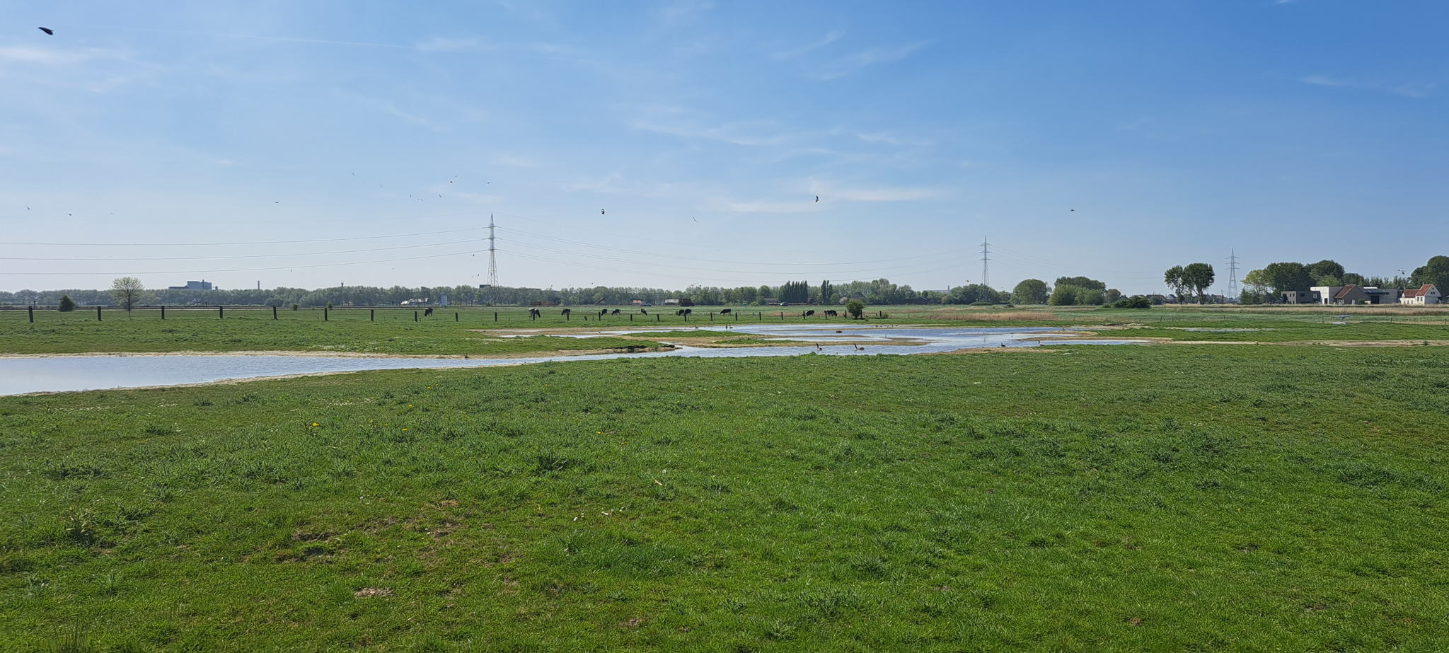 Ziet jouw grasland er in de toekomst ook zo uit? ©VLM, Chris Vynckier