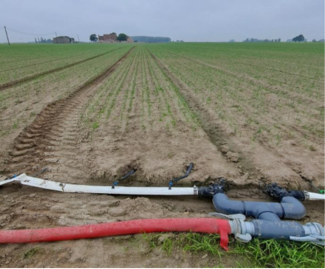 Na aansluiten van de leidingen kan de teler onmiddellijk starten. De uien krijgen water en meststoffen wanneer nodig en komen daardoor sneller en meer uniform boven. Foto op 29/05.