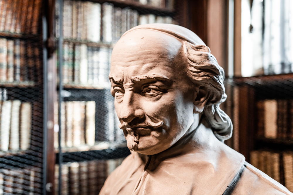 Nottebohmzaal van de Erfgoedbibliotheek Hendrik Conscience | Foto: LUCID