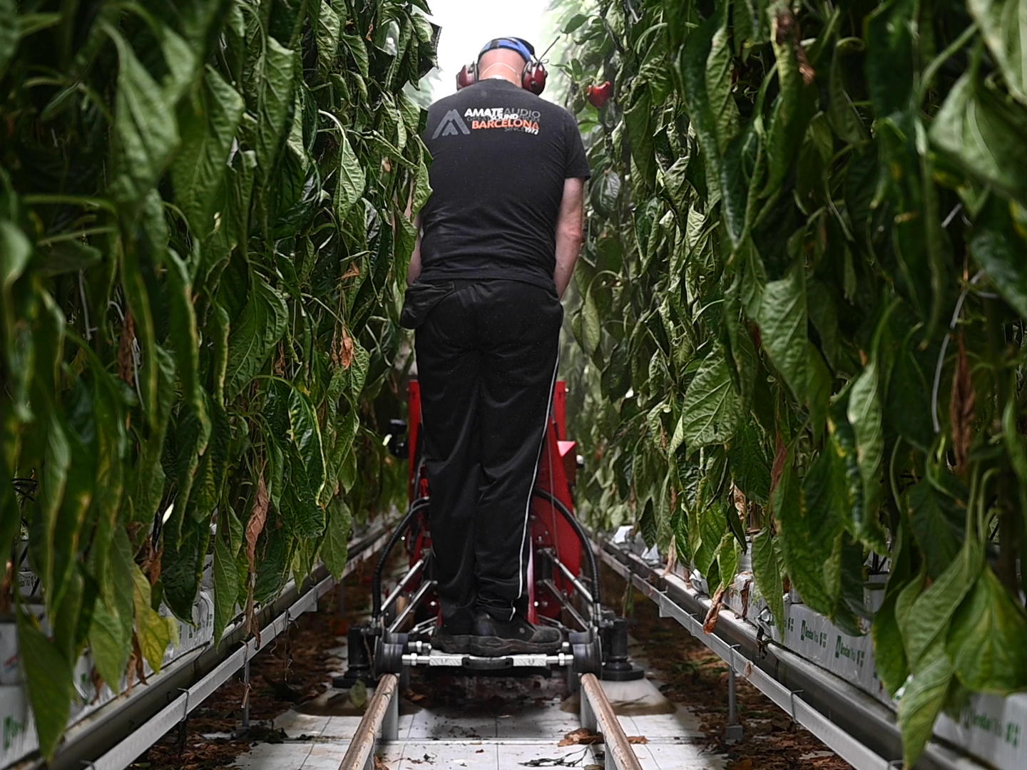 TENTE en Verhagen Leiden vinden het wiel van de tuinbouw opnieuw uit