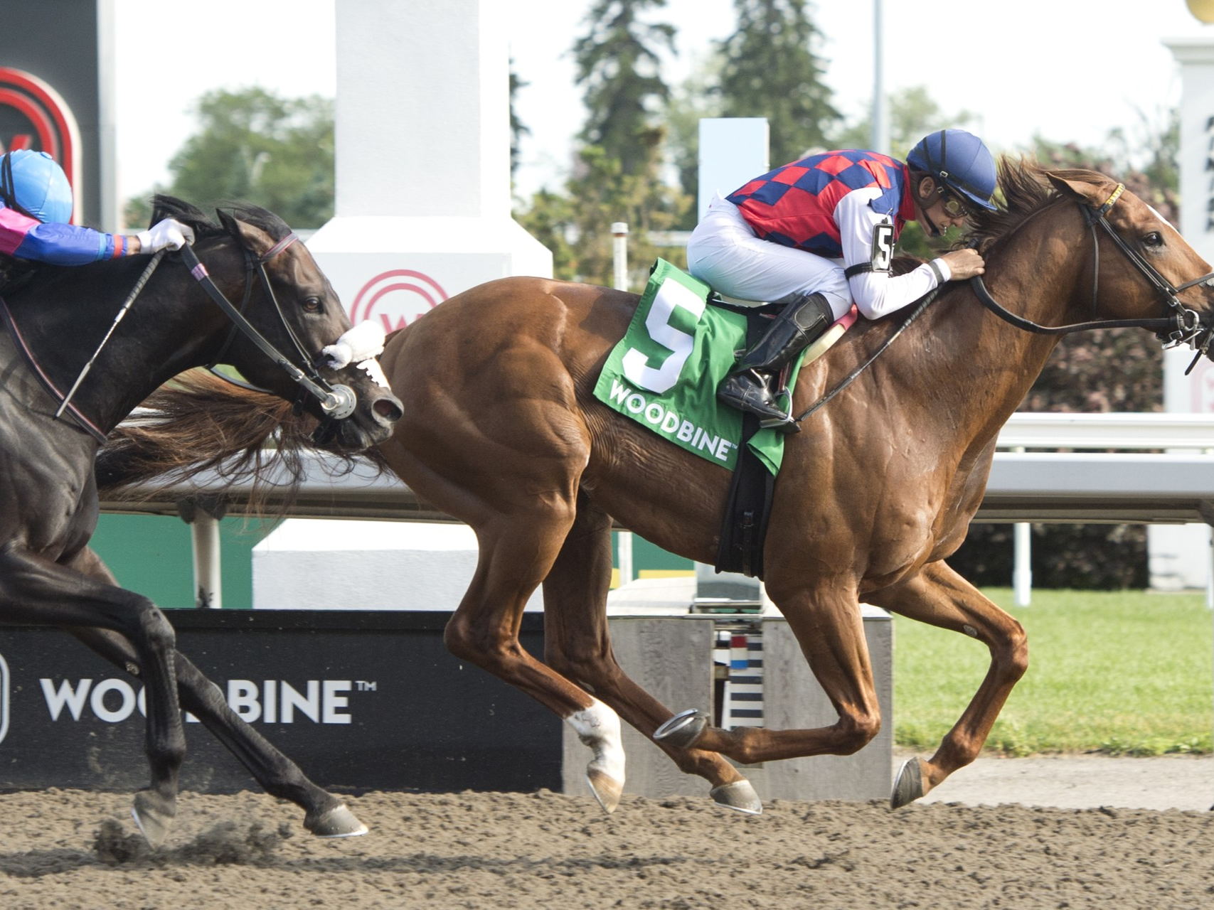 Funtastic Again wires Grade 3 Dominion Day rivals