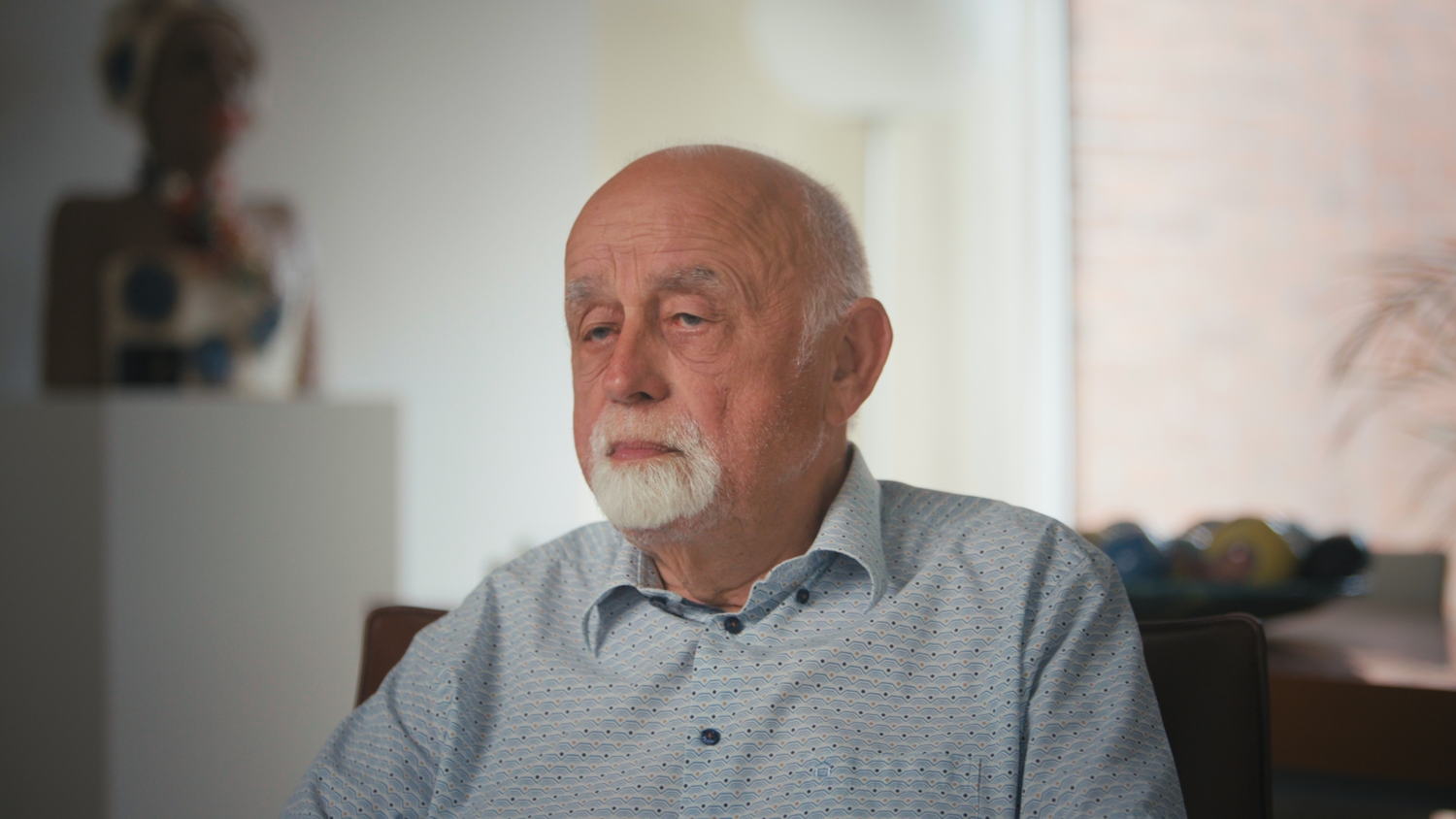 Steve Stevaert, de schaduw van de macht - Jan Peumans 