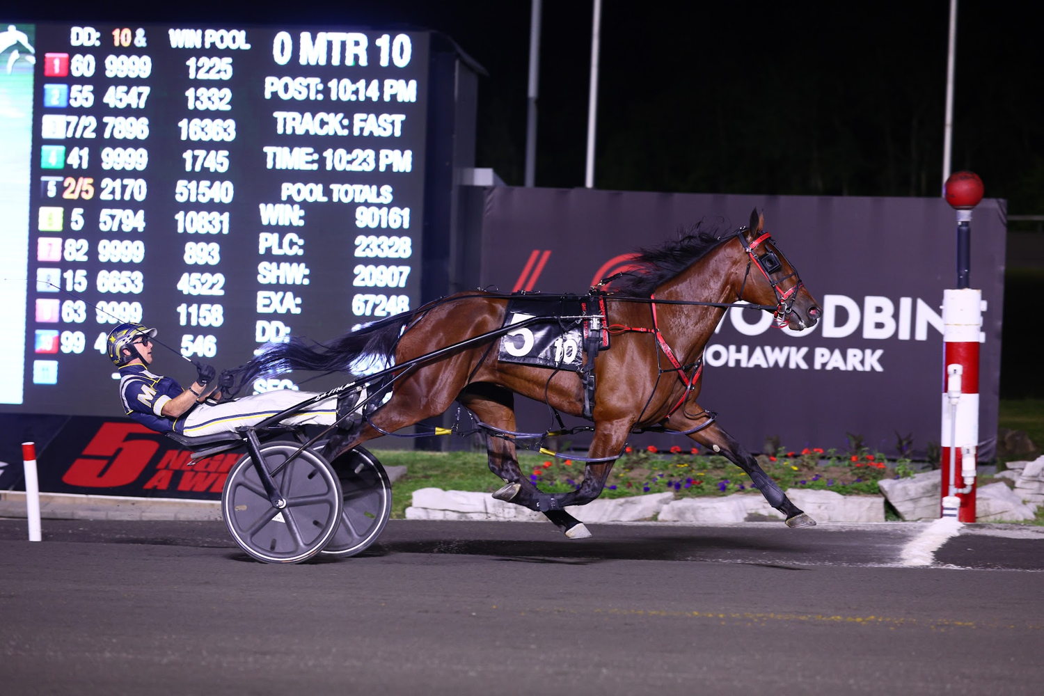 Sylvia Hanover and driver Bob McClure winning the Fan Hanover Final on June 17, 2023 at Woodbine Mohawk Park (New Image Media)