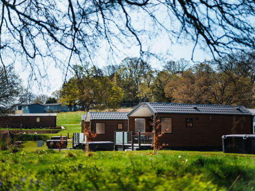 Brynmorflodgepark 20