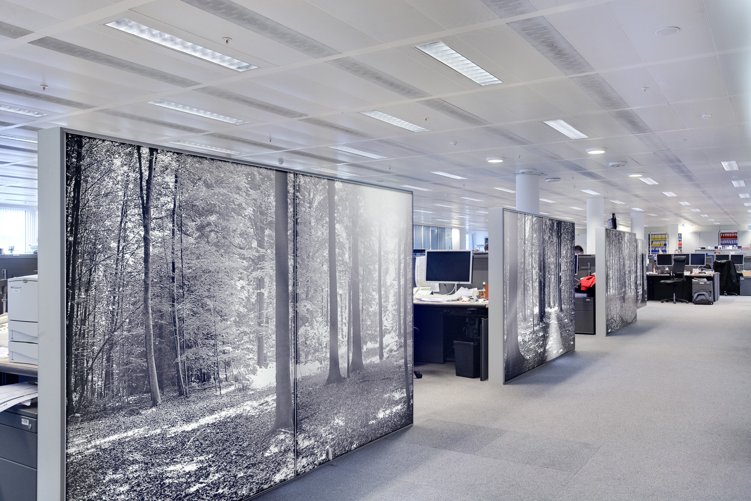 KBC gaat over tot vereffening van KBC Financial Holding Inc. (VS)