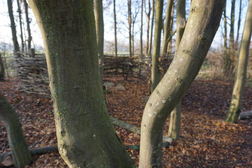 De Gavers Speelbos 