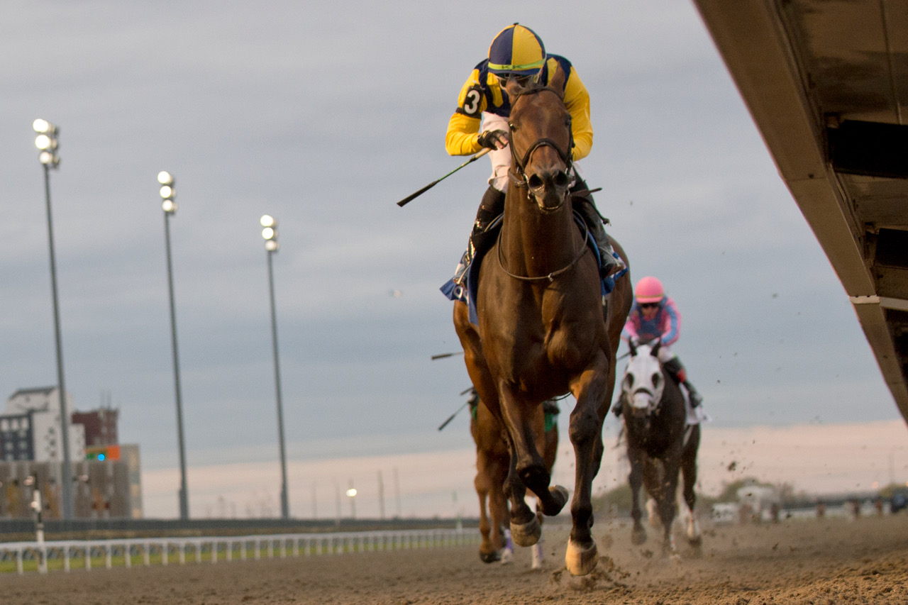 Wolfie's Dynaghost and jockey Kazushi Kimura winning the Autumn Stakes on November 5, 2023 at Woodbine (Michael Burns Photo)