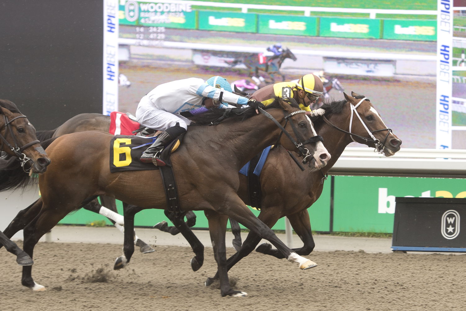 Rondure and jockey Rafael Hernandez winning Race 8 on May 11, 2024 at Woodbine (Michael Burns Photo)