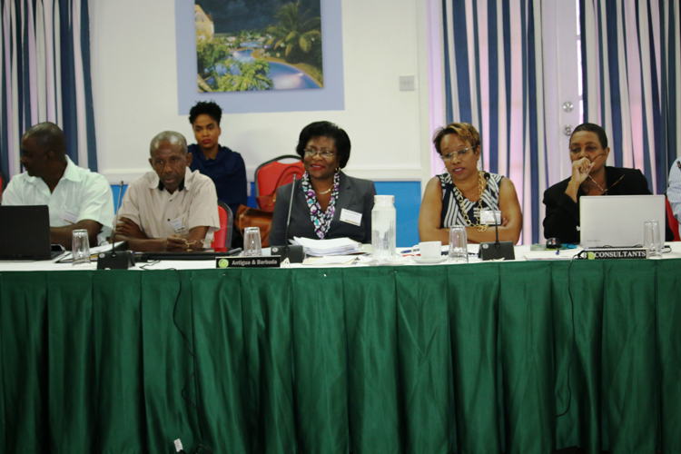 Workshop participants