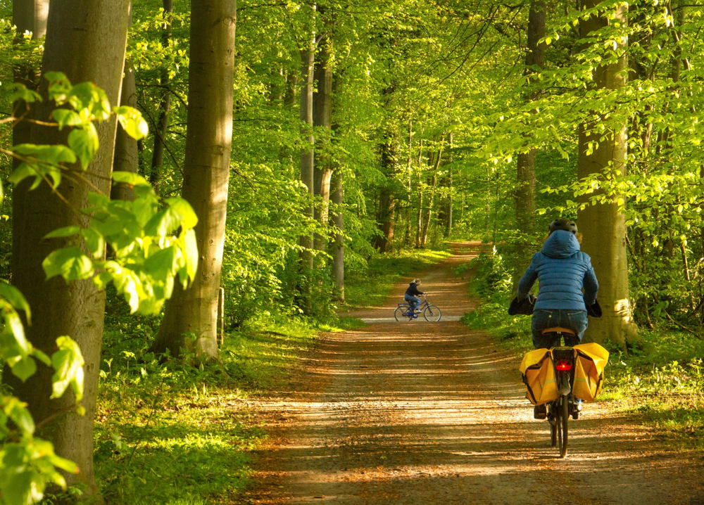 Egenhovenbos 