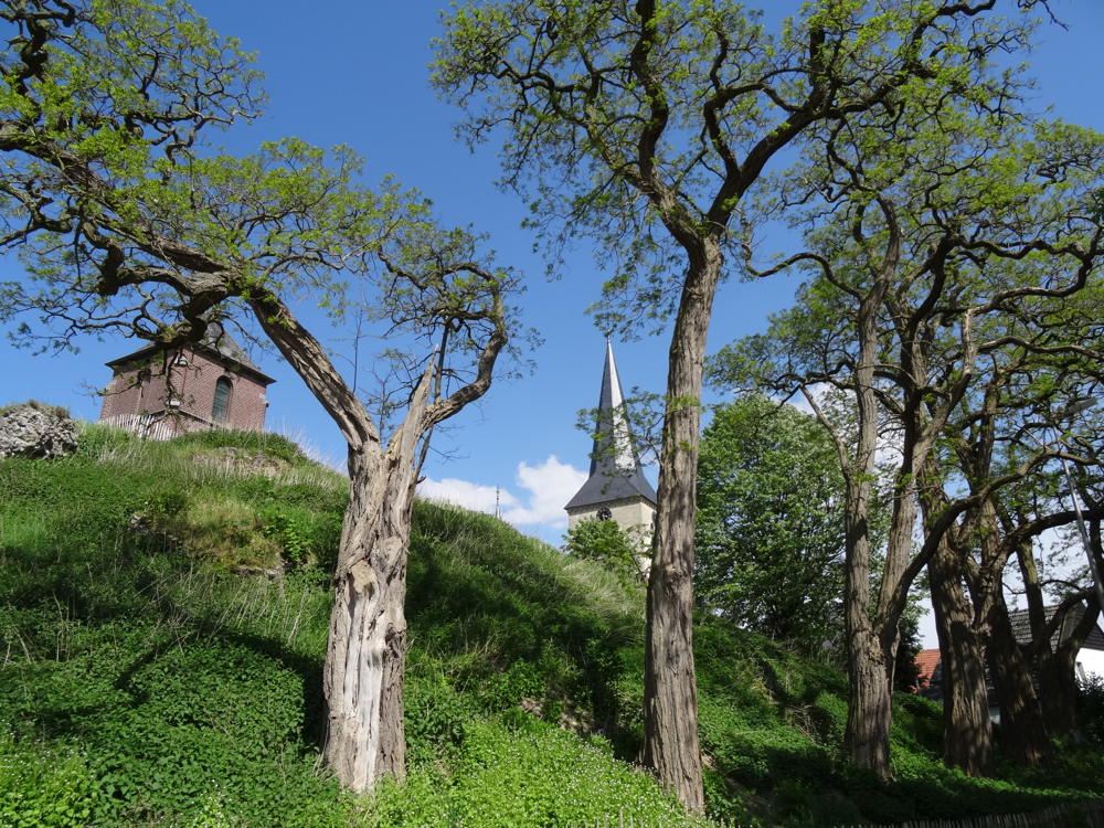 de Motte - copyright: VLM