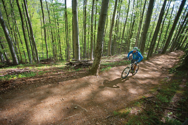Medvednica (c) Josko Fabri