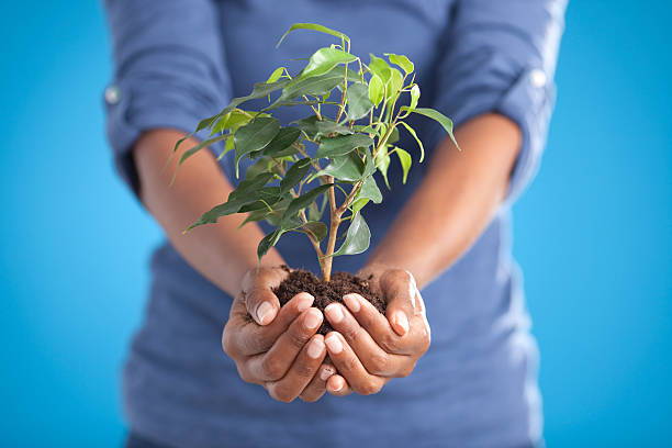 Seeds of Opportunity: The African Growth Series