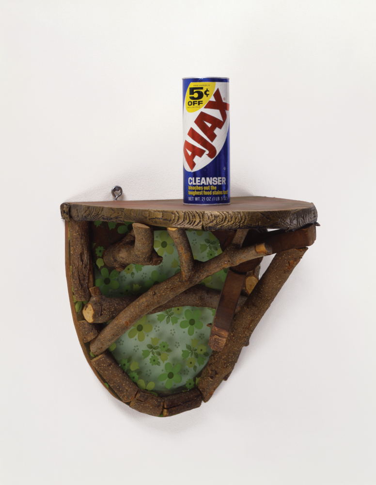 Shelf With Ajax, 1981