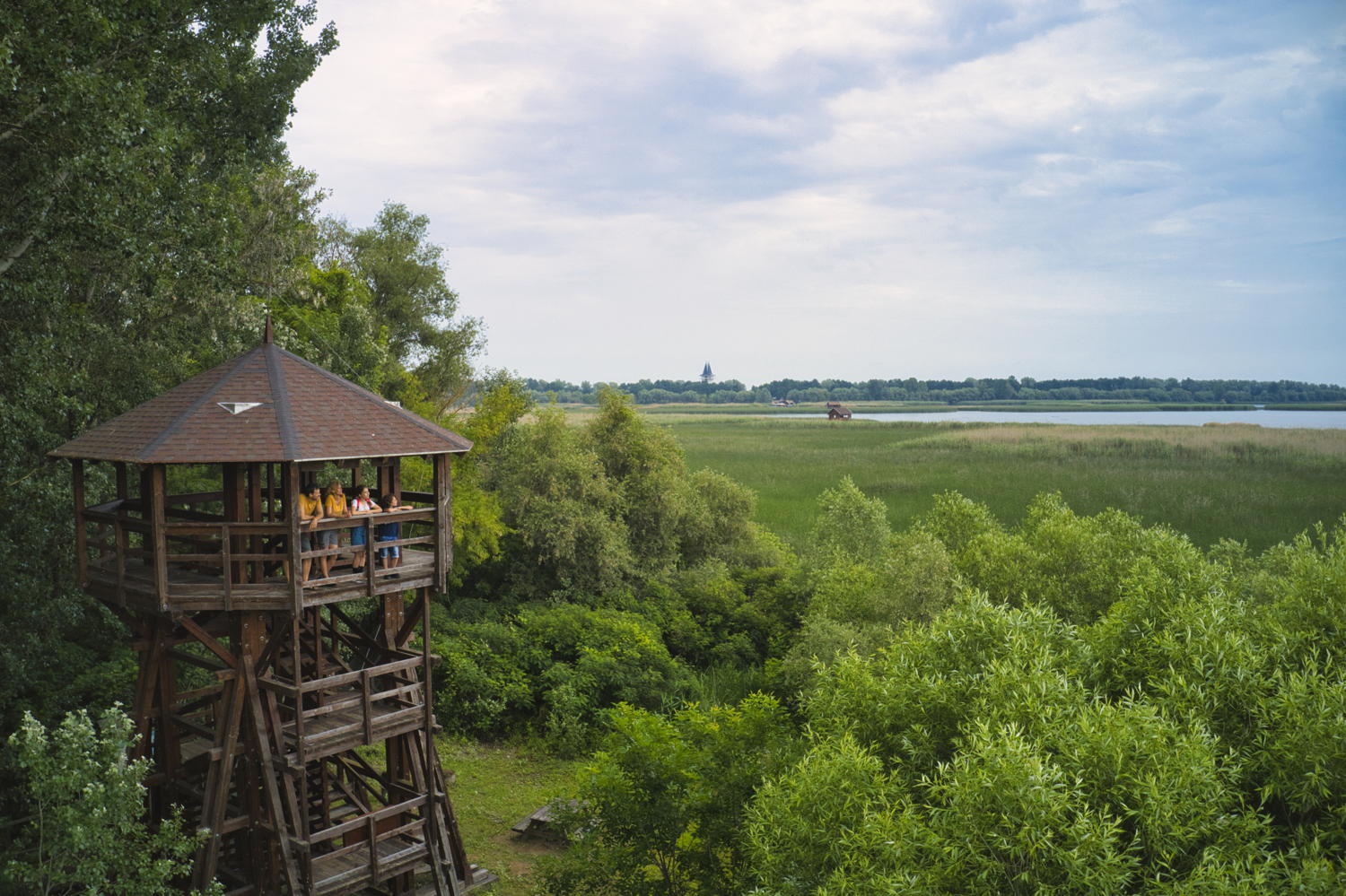 Du lac Tisza