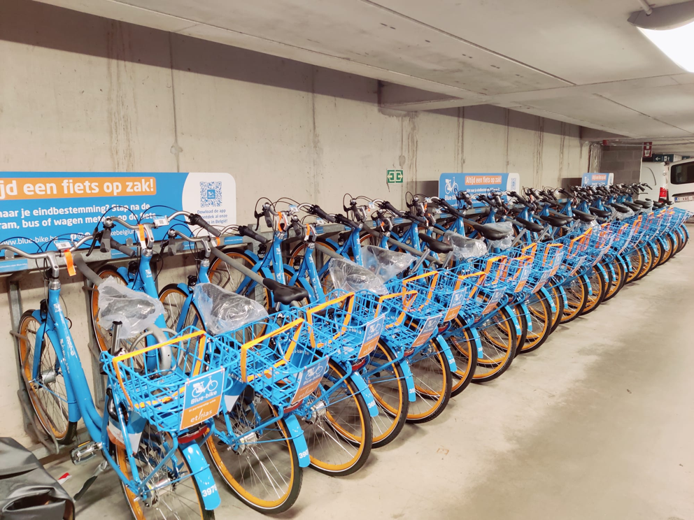 Blue-bike nergens zo populair als in Leuven