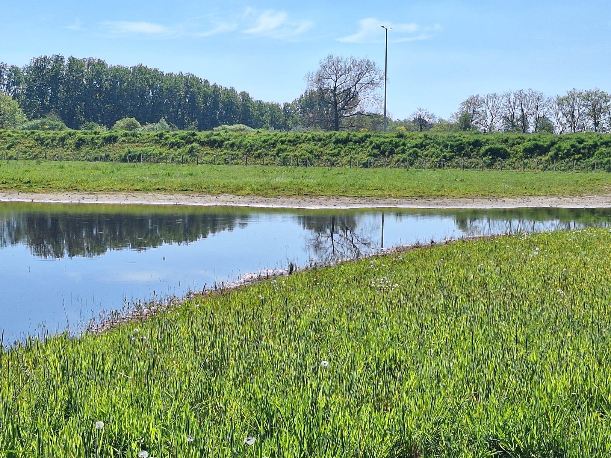Zoerselbos klaar voor de lente: Natuurinrichting officieel afgerond