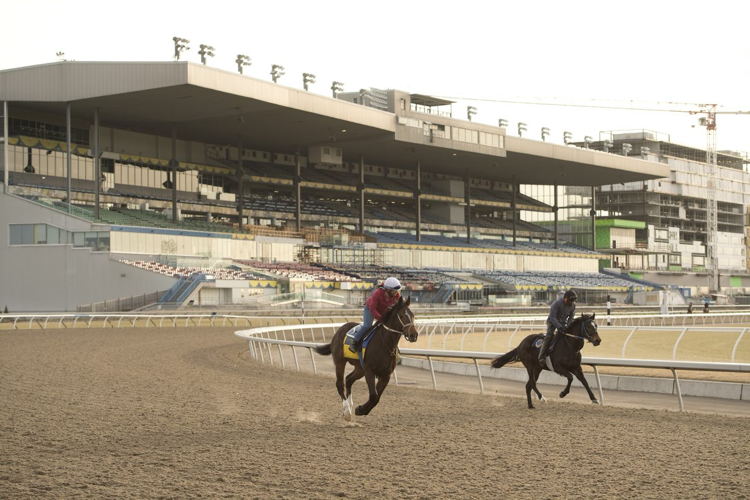 Around the turn they go! Woodbine opening day is Saturday, April 16 with a 1:10 p.m. post time. (Michael Burns Photo)