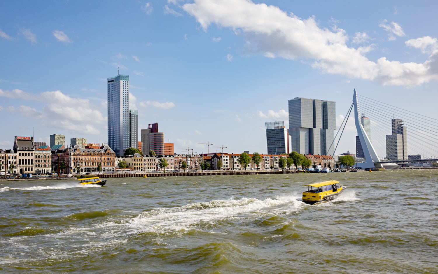 ©Iris van den Broek  
